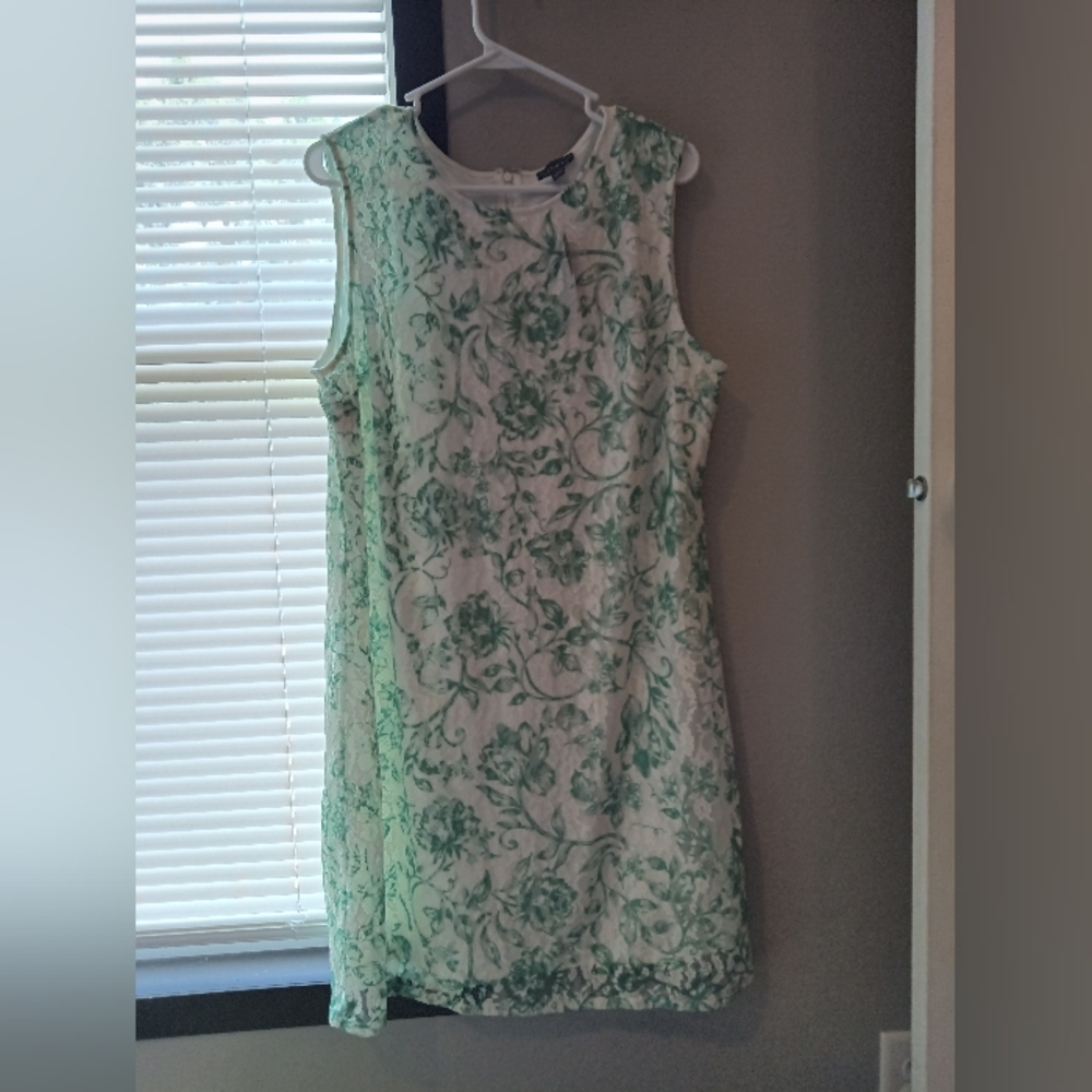 NWT!! Limited. White Lace Dress